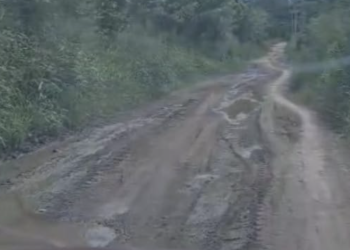 Captura de pantalla 2024 11 26 a la(s) 8.14.16 a. m. 1